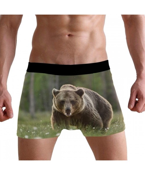 Boxer Briefs Brown Bear Mens Boxer Briefs Underwear Breathable Stretch Boxer Trunk with Pouch - Green - CJ18NNUIWG8