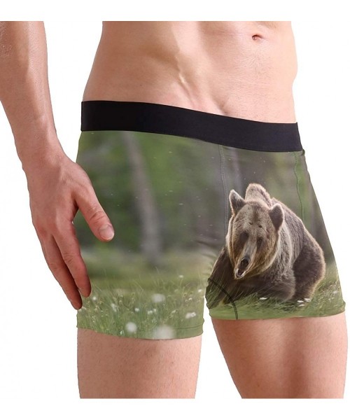Boxer Briefs Brown Bear Mens Boxer Briefs Underwear Breathable Stretch Boxer Trunk with Pouch - Green - CJ18NNUIWG8