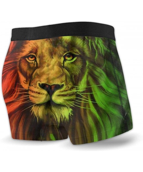 Boxer Briefs Mens Boxer Briefs Funny Llama Underwear for Gift Shorts Leg Comfort Quick Dry - Pattern9 - CJ18ZUUH2ES