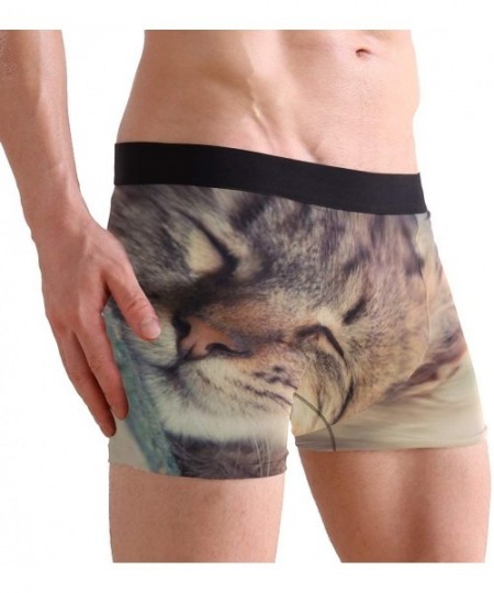 Boxer Briefs Kitten Sleeping Cat Men's Sexy Boxer Briefs Stretch Bulge Pouch Underpants Underwear - Kitten Sleeping Cat - CV1...