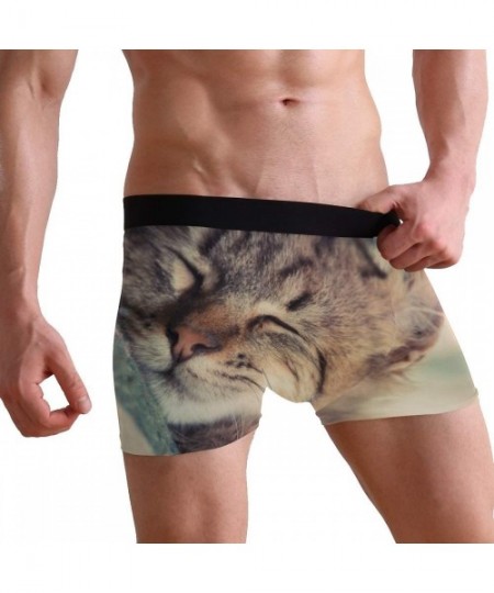 Boxer Briefs Kitten Sleeping Cat Men's Sexy Boxer Briefs Stretch Bulge Pouch Underpants Underwear - Kitten Sleeping Cat - CV1...